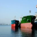 부두횟집 이미지