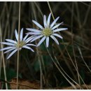 도비산 등산로 이미지