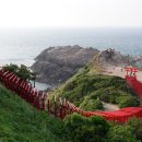 키친 모 이미지