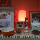 리멤버파크 이미지