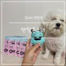 수덴탈 | 강아지 덴탈껌 덴탈몬스터 치석제거에 좋은 노즈워크 장난감 양치껌 덴탈트릿