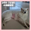 휴메디컬안산영업소 | 안산 강아지 건강검진 동물병원 추천 4U동물병원 가격, 시간, 건강검진 주기