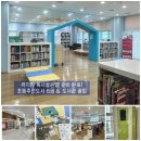 고촌도서관 | 독서 골든벨 준비하기 📚 초등 추천도서부터 도서관 대출 꿀팁까지! (김포 고촌도서관 후기)