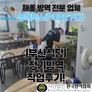 퓨어픽스