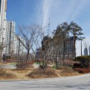 원도사터 이미지