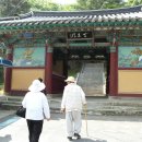 교서상사