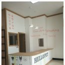 헬로펫 여수 이미지