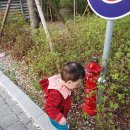 네이처포레어린이집 이미지