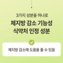 메디위키 | 레몬물 다이어트 차 메디바디 레몬밤 솔직후기