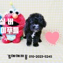 김해해피몽