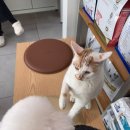 영도동물병원 이미지