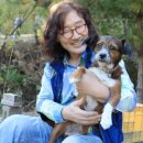 곡성-137 이미지