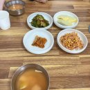 낙지뻘식당 | [통영] 40년 전통 낙지볶음 "서울식당" 내돈내산 후기