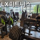 다솜 | LX피트니스 24시 헬스 잠실본점 :: 잠실새내 피티 후기 (다솜쌤)