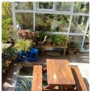 로뎀나무펜션 이미지