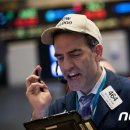 산운수석 이미지