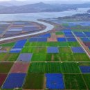 말 모형 이미지