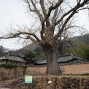 정읍문화원 이미지