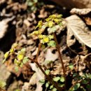 팔현2리 이미지