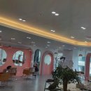 살롱더스타일(상남점)