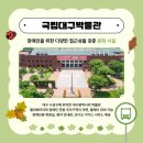 모두여행(무장애 여행) 이미지