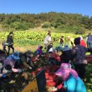 칠봉농장 이미지