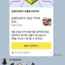 와이블랑헤어