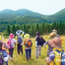 조흥준