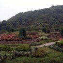 장수탑 이미지
