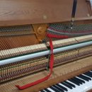 월영동236 이미지