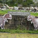 이기대공원(공룡발자국 앞) | 화순 서유리 공룡발자국 화석산지, 지나가다 호기심으로 들리게 된 경이로운 곳 - 여행일: 26.08.05.수...