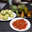 정감이간다 이미지