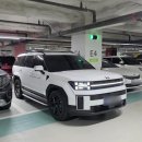 P-6210 | 싼타페 MX5 가성비 튜닝 도어 손잡이 블랙잉크 스타일