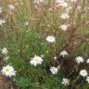 팔도농장 이미지