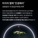 진설향