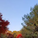 군포중앙고등학교 앞 이미지