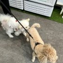 뚜드림 다사점 이미지