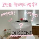 뽑기의 달인 뽑기방 | 오센트 한남스토어 차량용방향제 랜덤럭키박스 구입 후기 &amp; 무료 퍼퓸샤쉐 무료 증정 이벤트 소개