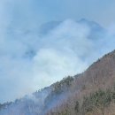 김삿갓면-45 이미지