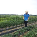 병근 농장 이미지