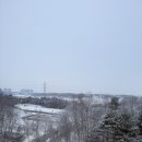 청년피자 송탄점 | 1월 일기