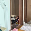 궁상목장 | 순삭된 5월을 찾아서