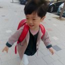 댄디보이 - 경산시 성암로12길 1 | 댄디보이