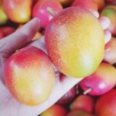 은서농장 이미지