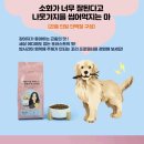 포러스트
