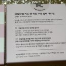 키스피엘