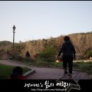 울타리손칼국수 이미지