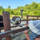 재욱목장 이미지