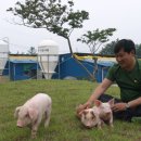 강산농장 이미지