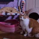 미랑미랑 이미지